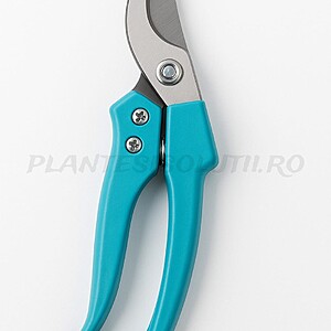 Foarfeca horticola albastra