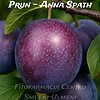Prun Anna Späth