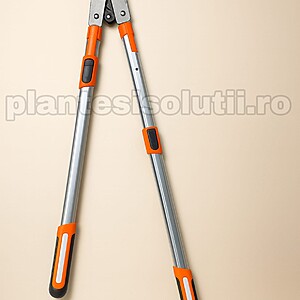 Foarfeca telescopica crengi