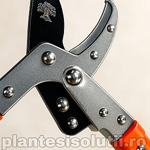 Foarfeca telescopica crengi