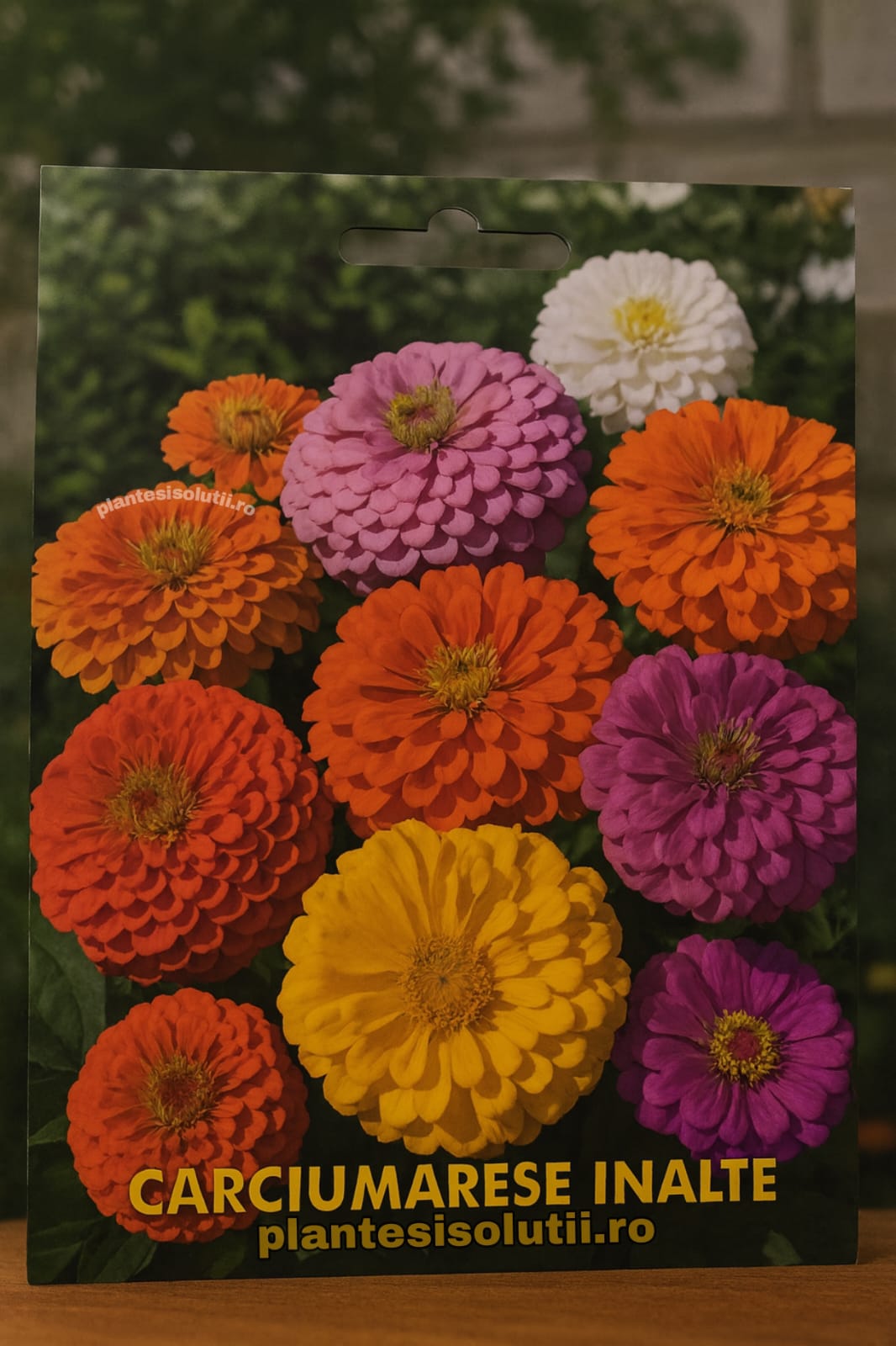 Carciumarese Inalte Carciumarese Inalte