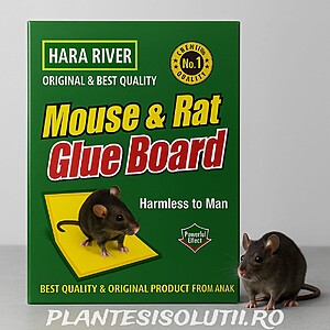 Cărticica cu lipici