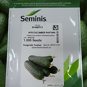 Seminte De Castraveti SV4097CV F1 (COD) 1000 SEM