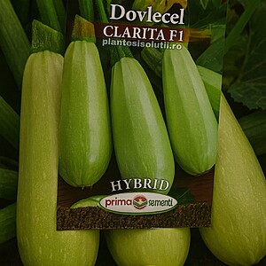 Seminte De Dovlecel Clarita F1 3.5gr