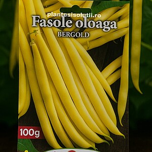 Fasole fideluta galbena Oloaga Bergold 100 gr