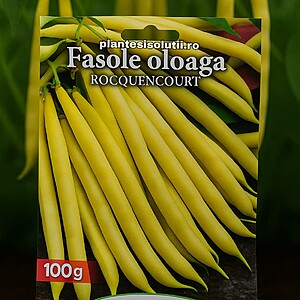 Fasole fideluta galbena Oloagă Rocquencourt 100 gr