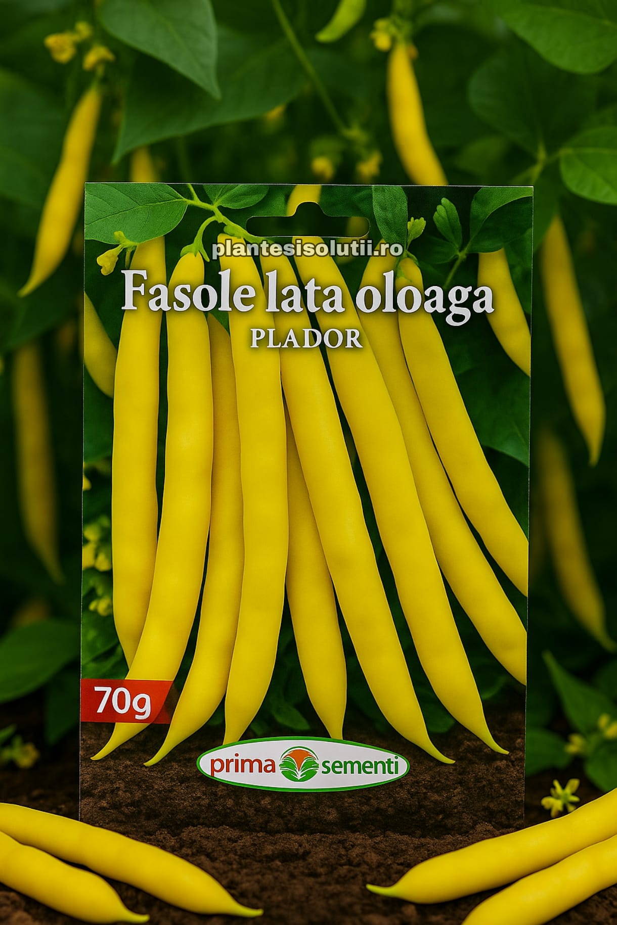 Fasole lata oloaga Plador