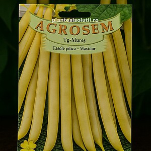 Fasole fideluta galbena pitică - Maxidor 1 kg