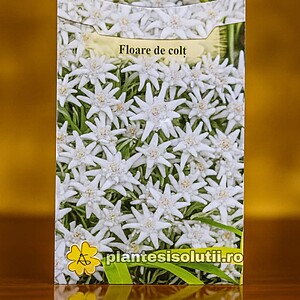 Floare de Colt, 0,02g
