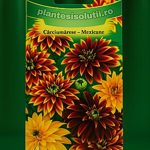 Cârciumărese Mexicane
