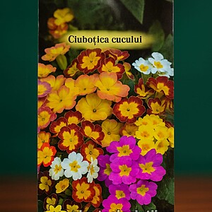 Ciubotica Cucului, 0,05g