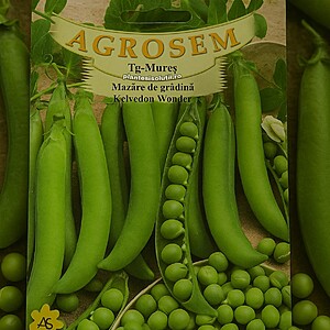 Mazăre de gradina- Kelvedon Wonder, 100g