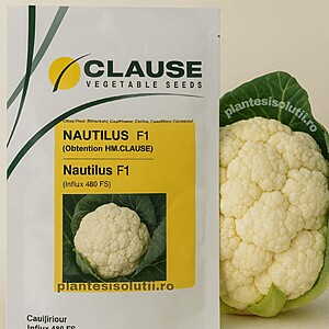 Seminte De Conopida Nautilus F1 1000sem.