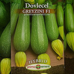 Seminte De Dovlecel Greyzini F1 3.5gr