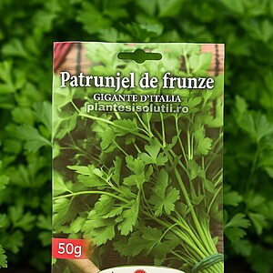 Seminte-De-Patrunjel-De-Frunze-300x300