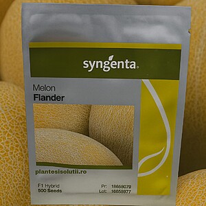 Seminte De Pepene Galben Flander F1 500sem.