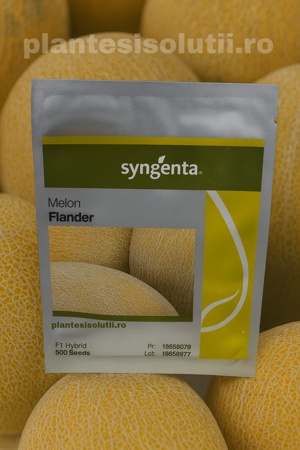 Seminte De Pepene Flander F1 500sem.