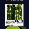 Seminte de castraveti Prut F1