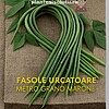 Seminte de fasole urcatoare Metro Grano Marrone
