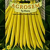 Seminte de fasole urcatoare galbena rotunda Kentucky Wonder Wax