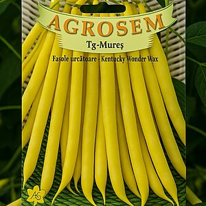 Seminte de fasole urcatoare galbena rotunda Kentucky Wonder Wax
