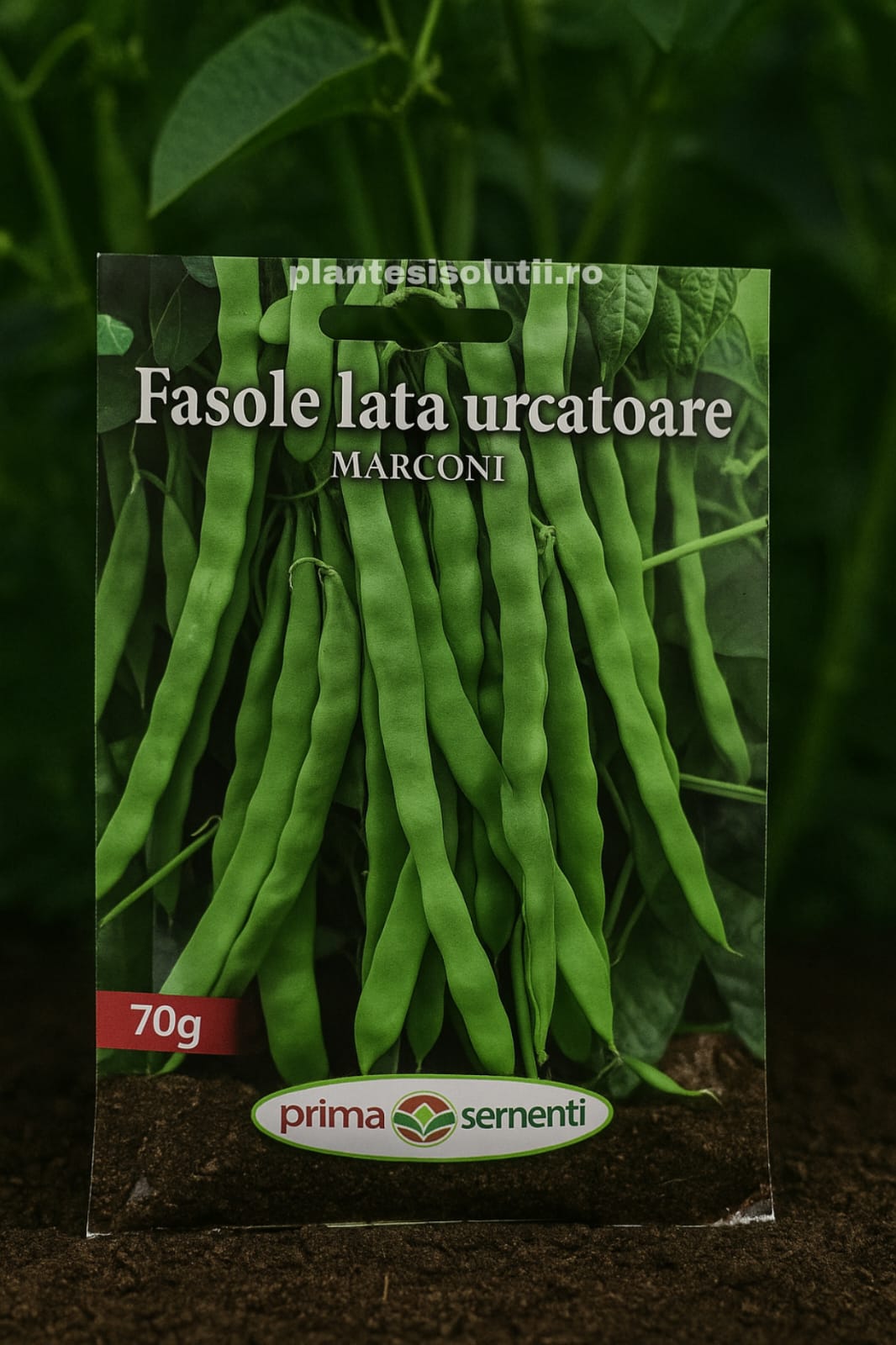 Seminte de fasole urcatoare verde lata Marconi Seminte de fasole urcatoare verde lata Marconi