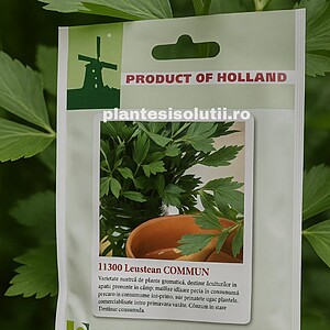 Seminte de leustean commun 10 gr HOLLAND F.