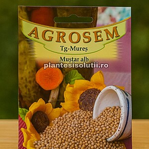 Seminte De Mustar Alb