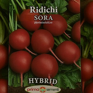 Seminte de ridichi Sora F1