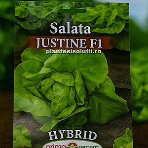 Seminte Salata Justine F1 1 gr