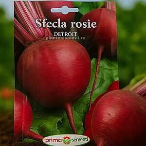 Seminte Sfecla Rosie, 50g
