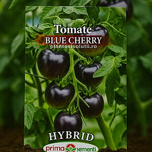 Seminte Tomate Blue Cherry 0.1 gr