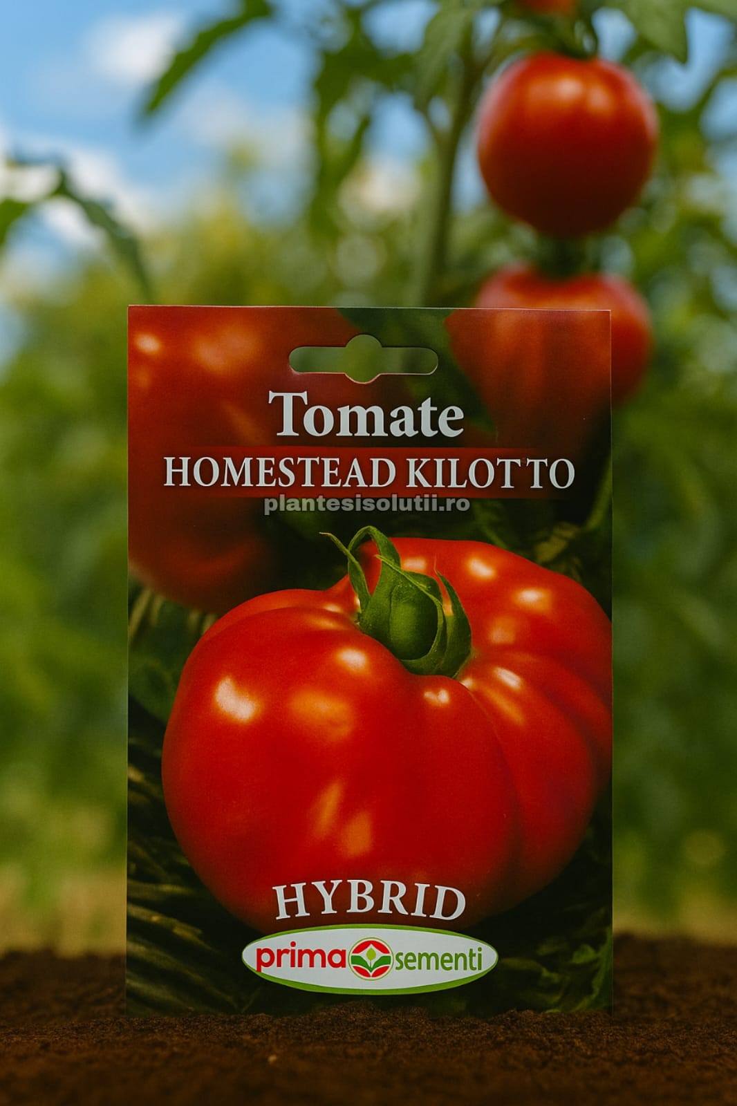Seminte tomate homestead kilotto