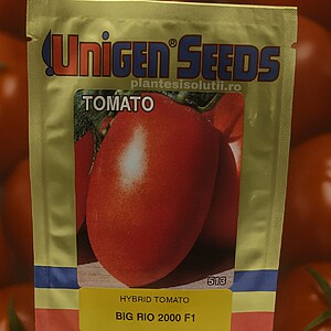 Seminte Tomate Big Rio 2000 F1( oloage)- 1000sem.