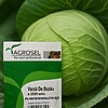 Varză de Buzău