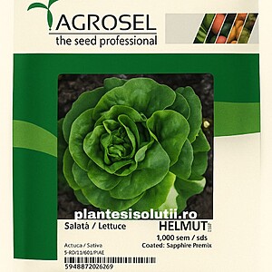 Seminte salata Helmut