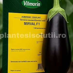 Mirval F1 (1000 seminte)
