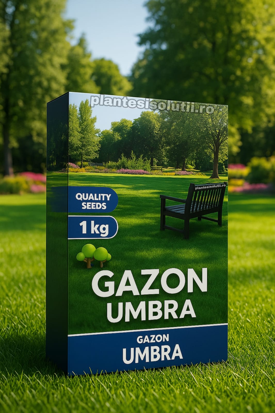 Semințe Gazon Umbră Semințe Gazon Umbră