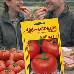 Seminte Tomate Kalina F1 2500 sem