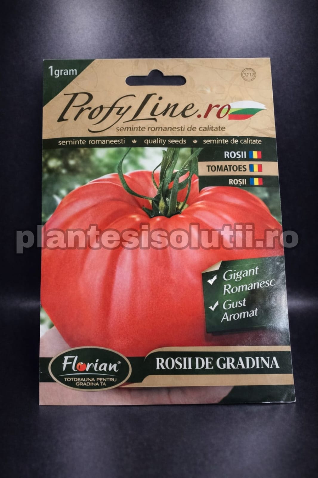 WhatsApp Image 2026-02-11 at 16.19.07 (2)