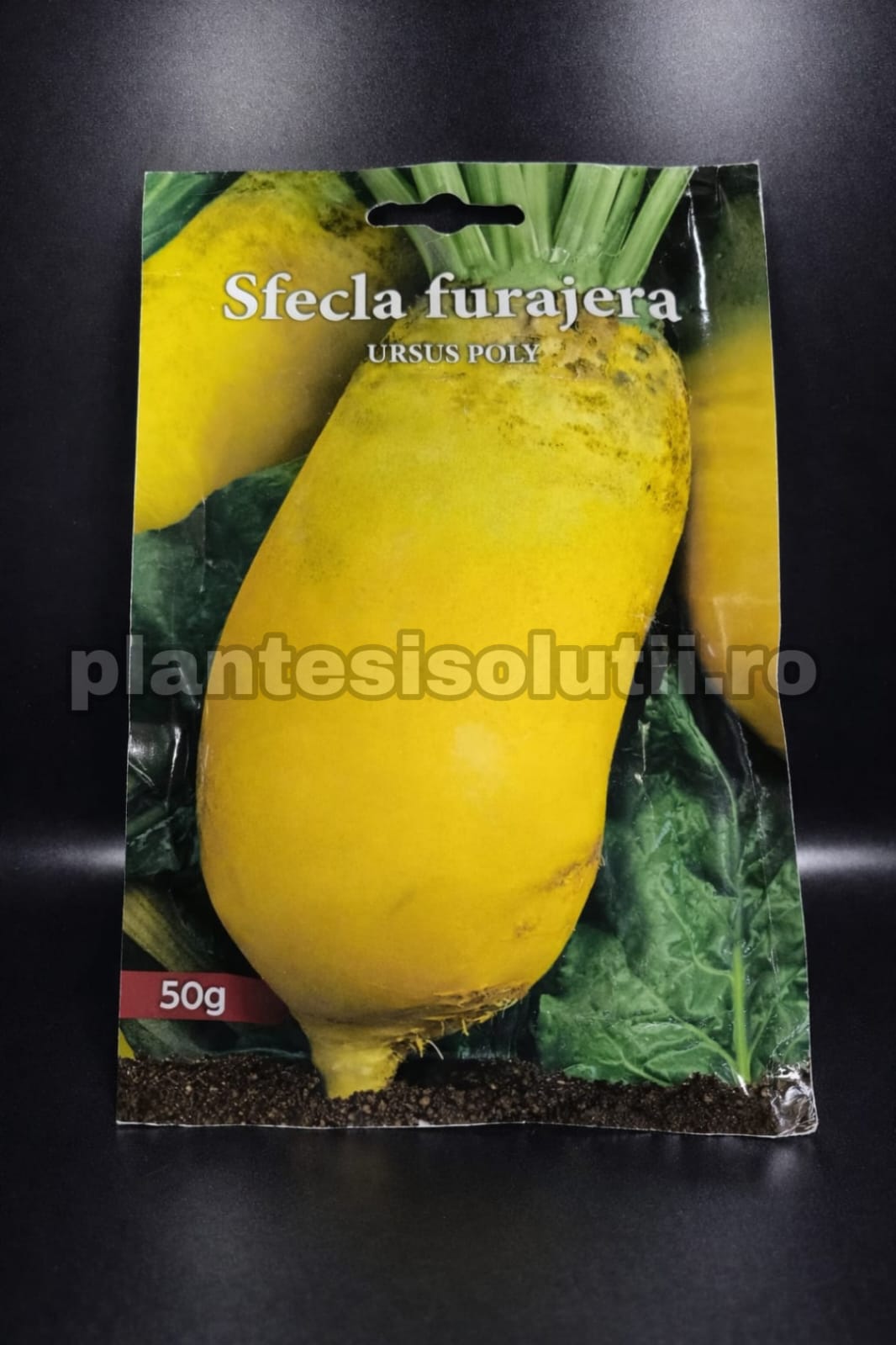 WhatsApp Image 2026-02-11 at 16.19.08 (3)