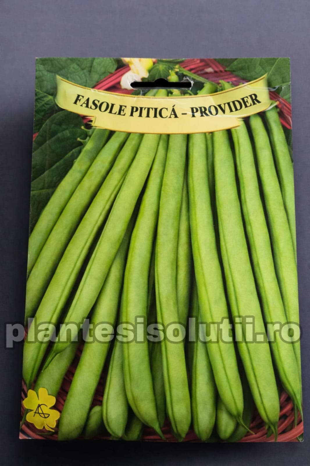 WhatsApp Image 2026-02-12 at 13.19.10 (3)