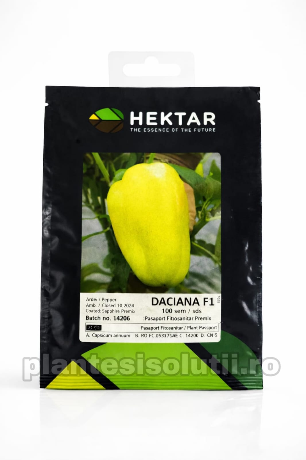 WhatsApp Image 2026-02-12 at 13.19.11 (2)