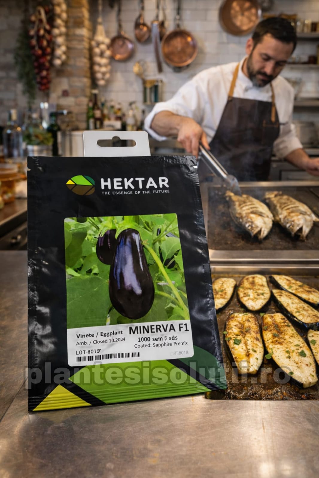 WhatsApp Image 2026-02-12 at 13.19.14 (2)