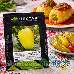 Seminte de ardei gras Daciana F1, 100seminte