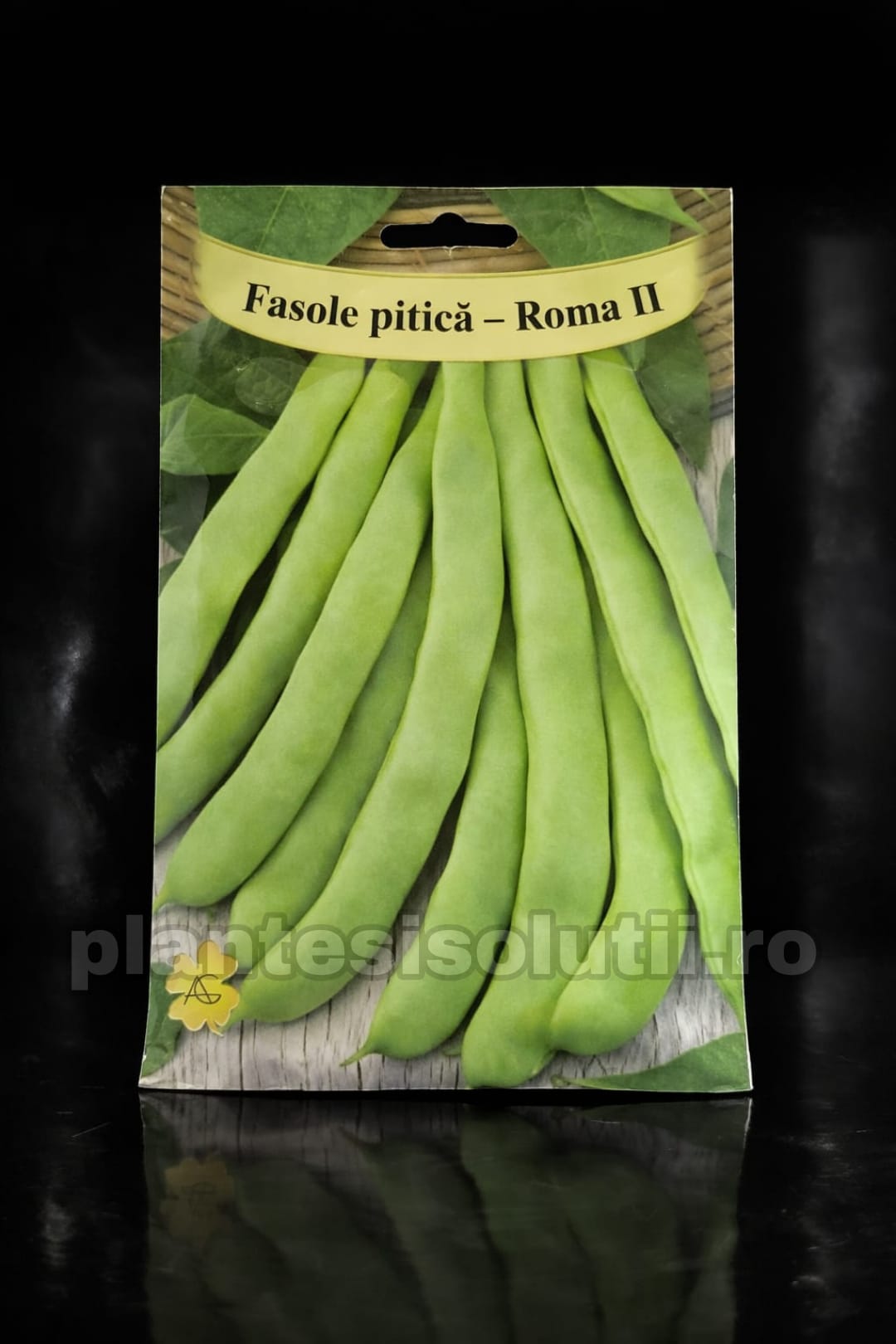 WhatsApp Image 2026-02-23 at 11.23.00 (1)