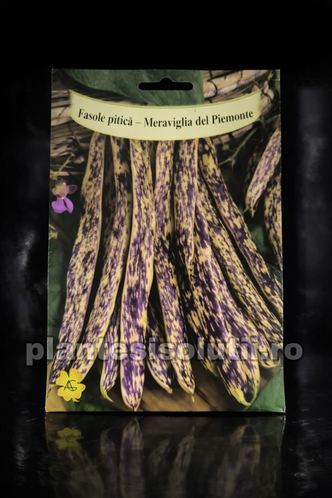 WhatsApp Image 2026-02-23 at 11.23.01 (1)