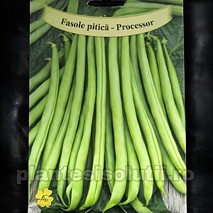 Seminte de Fasole pitica Processor 180 gr