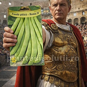 Seminte de fasole pitica verde lata Roma II 50 gr