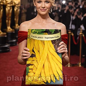 Fasole Lata Pitica Supernano Giallo 50 gr